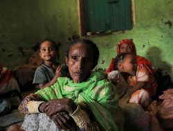 Dozens killed in Ethiopian Air Strike on Tigray Refugee Camp