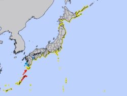 Tsunami Strikes Japan’s Coast, Triggered by the Eruption of the Tonga Volcano