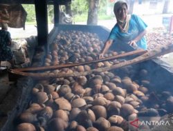 BRIN extracts cooking oil from coconut using tempeh yeast