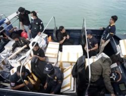 Riau Islands Customs thwarts smuggling of lobster seeds into Singapore