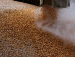 Kremlin says sanctions must be lifted for Russian grain to reach markets