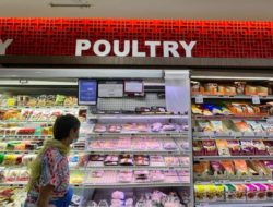 Malaysia values relationship with Singapore, hopes to resolve chicken export situation ‘quickly’, says Khairy