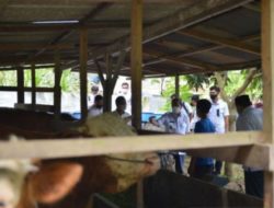 Riau sets up five checkpoints to prevent entry of FMD-infected cattle