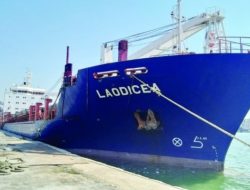 Lebanon judge orders seizure of cargo ship with flour ‘stolen from Ukraine’