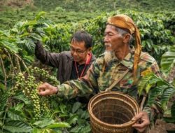 Indonesian coffee exporters eye potential in Middle East market