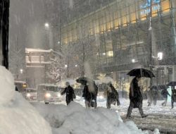 Heavy snow kills 8 in Japan, prompts weather officials to issue warning: Reports