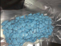 German police warn of ‘Blue Punisher’ ecstasy pills after 2 teenage girls die