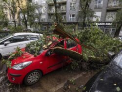 Palermo airport closed, two killed in north as fires and storms batter Italy