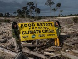 Examining Indonesia’s Food Estate Program Critique