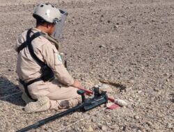 Saudi Project Masam Successfully Dismantles 733 Mines Planted by Houthi Militia in Yemen